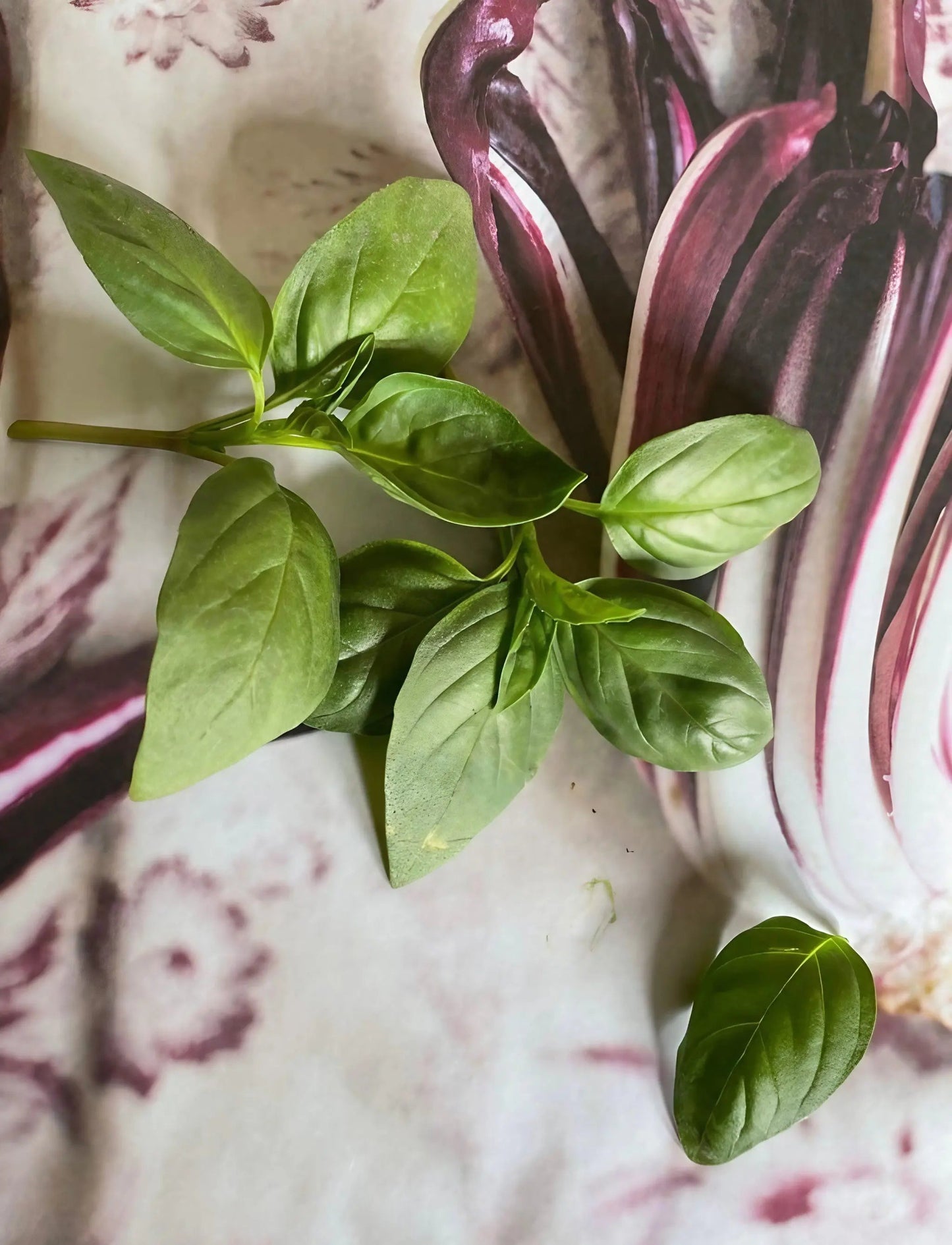 Basil Thai Siam Queen