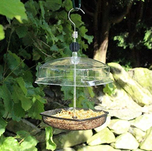 Bird Feed Seed Hanging Nut Seeds Bird Feeder Bird Feeder