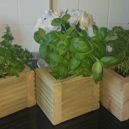 Wooden Decking herb planter boxes pack of 3 - Summer Wooden Planters