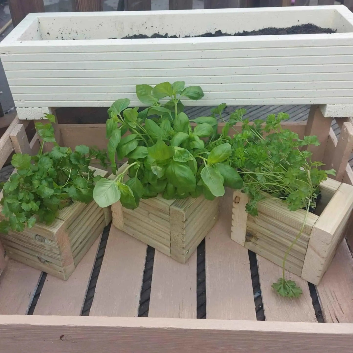 Wooden Decking herb planter boxes pack of 3 - Summer Wooden Planters