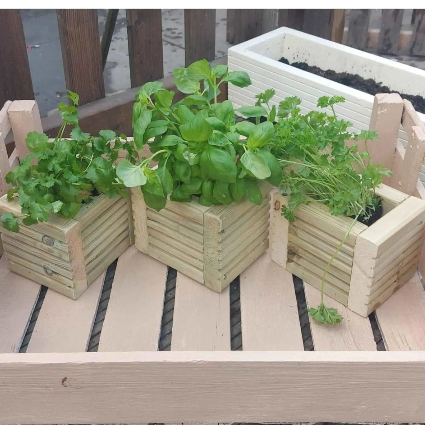 Wooden Decking herb planter boxes pack of 3 - Summer Wooden Planters