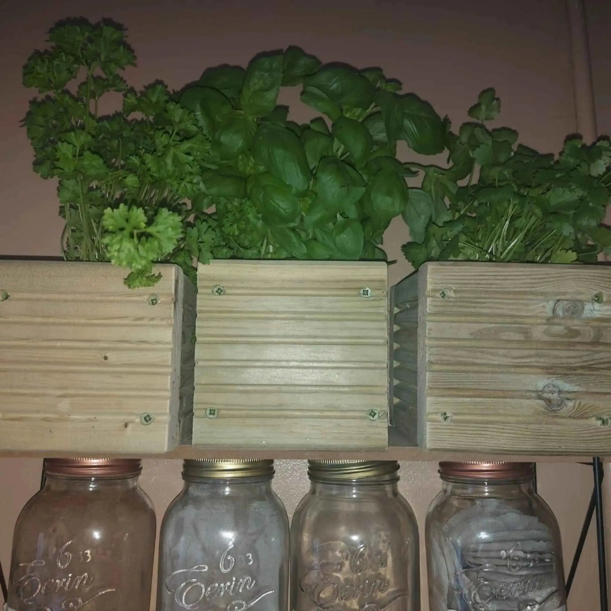 Wooden Decking herb planter boxes pack of 3 - Summer Wooden Planters