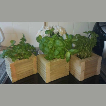 Wooden Decking herb planter boxes pack of 3 - Summer Wooden Planters