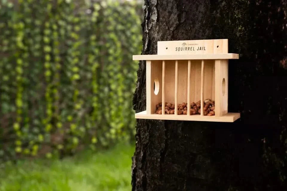 Hanging Wooden Bird Squirrel Feeder Wildlife Jail Feeding Station Bird Feeder