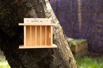 Hanging Wooden Bird Squirrel Feeder Wildlife Jail Feeding Station Bird Feeder